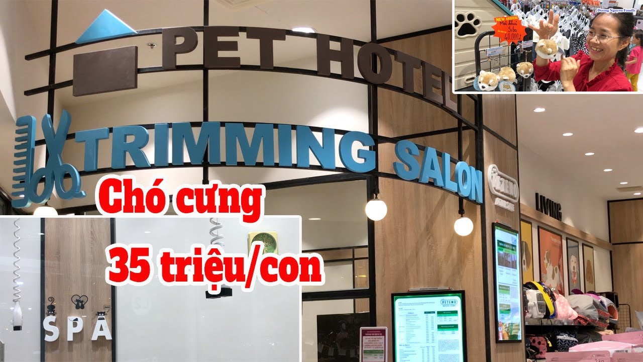 Siêu Thị Chó Mèo Aeon Mall Petemo Sang Chảnh Tại Tp HCM | Siêu Thị Thú Cưng