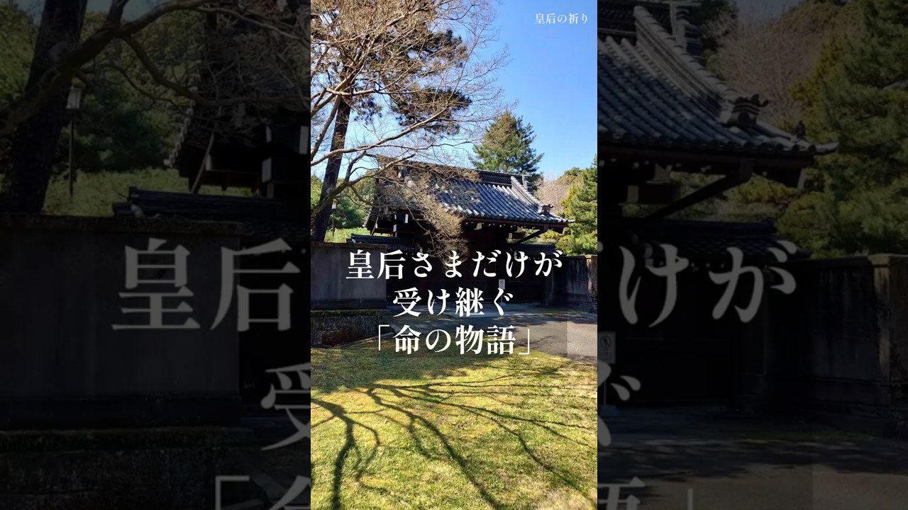 皇后さまだけが受け継ぐ「命の物語」＃皇室＃雅子さま