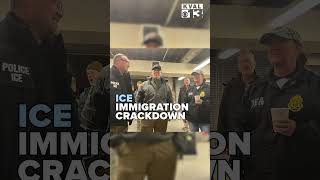 ICE arrests nearly 1,000 illegal immigrants in one day