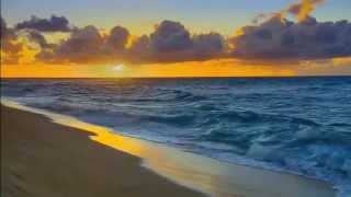 Denis Champoux plays Genesis   After the ordeal