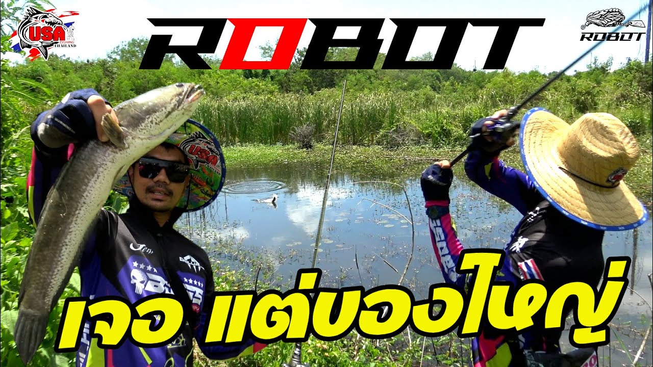 กบยางโรบอท ใช้แล้วจะหมานได้ตัวใหญ่ๆ