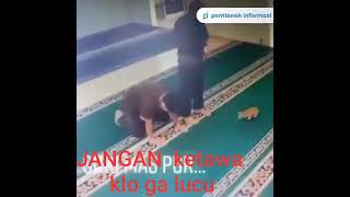 orang lagi sholat di ganggu kucing 🐱