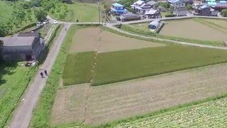 2016年熊本地震でずれた布田川断層（1）Futagawa Fault dislocated by the 2016 Kumamoto Earthquake