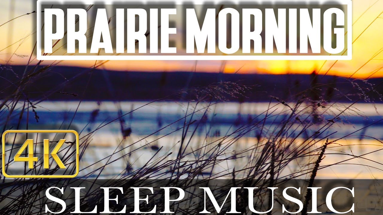 4k Nature Montana Prairie Frosty Morning Wildlife Music In Nature