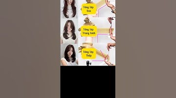CÁCH LỰA CHỌN TẦNG LỚP ĐỂ CẮT LAYER 💇‍♀️ #tranvanphu #hairstyle #layerhaircut