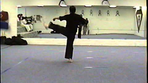 The late Kyoshi Terry Lee Bryan, whom I recieved u...