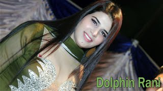 Welcom Dolphin Rani Wedding Event Islamabad ! PKDP