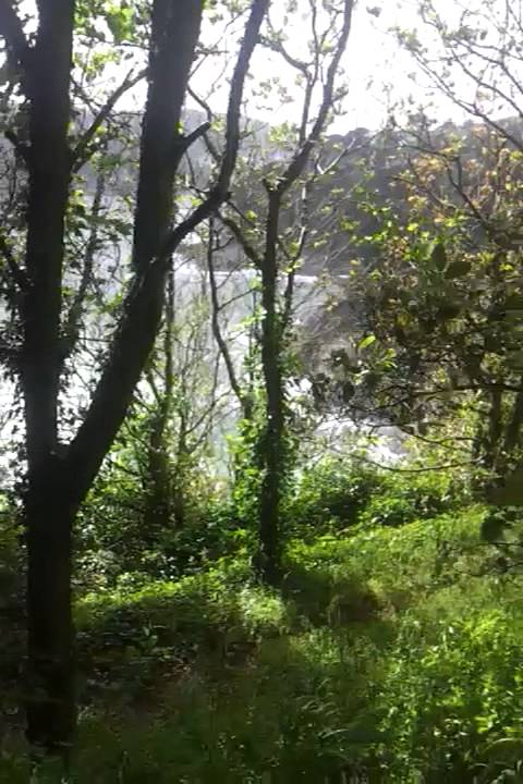 Running Cape Froward