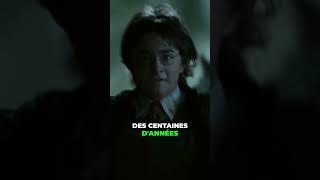 L'origine du Basilic détaillée !