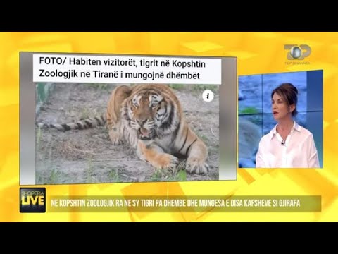 Video: Kopshtet zoologjike më të mira në Rusi: rishikim, veçori dhe komente