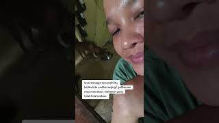 ada satu kepuasan tersendiri ketika anjing² peliharaan ini mau makan. #samariaps #dogvideos #doglove