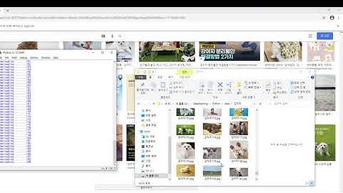 #Python #crawling images - Collecting