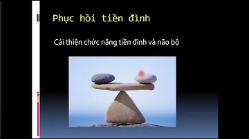 Chóng mặt Rối loạn tiền đình   Cơ chế   Điều trị
