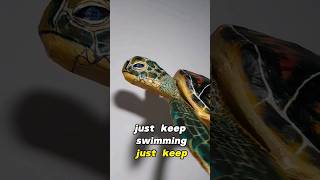 Making a cardboard turtle 🎨 #art #craft