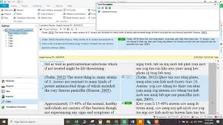 ວິທີໃຊ້ໂປຣແກມແປພາສາ How to export and import Bilingual For Review in SDL Trados