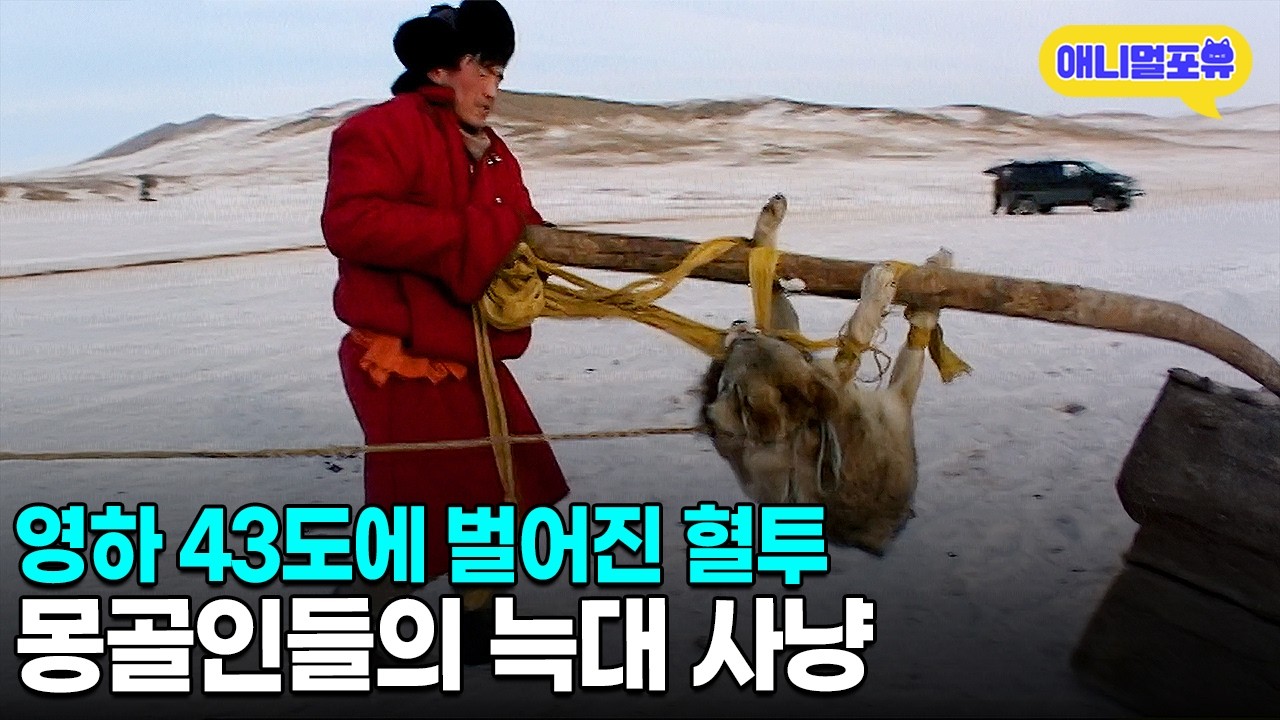 몽골인들이 한파 속에서 늑대를 사냥하는 이유ㅣKBS VJ 특공대 060210 방송