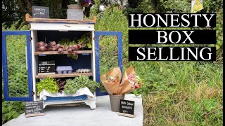 Selling with an Honesty Box - Update | 100 Days Farming  (Day 83)