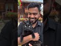 My Black Cat #shortvideo #shortsfeed #shortsviral #cat #short #shorts