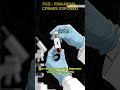 The Theranos Fraud Explained in 75 Seconds