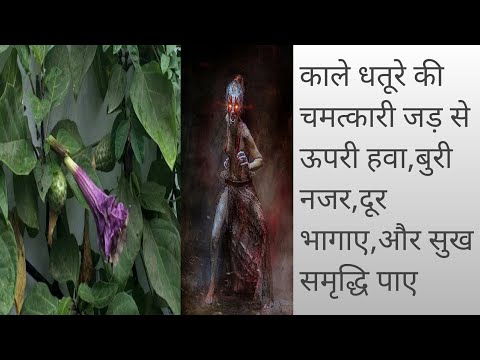 वीडियो: डॉलर युद्ध की रणनीति