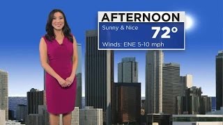 Wake Up Weather With Jackie (Jan. 28)