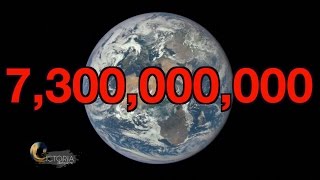 Overpopulation: Will we run out of space? BBC News