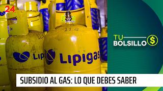 27000 Bonus Nearly 8 Million Households To Receive Gas Subsidy  24 Horas Tvn Chile