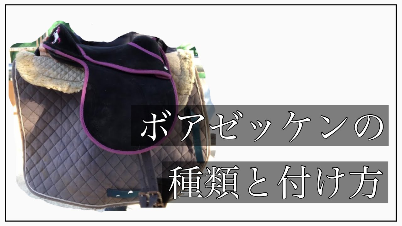 ボアゼッケンの種類と付け方】乗馬初心者/馬装 - YouTube