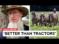 Amish farming is something all farmers can still learn from today