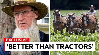 Amish Farming Is Something ALL Farmers Can Still Learn From Today!