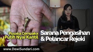 Pusaka Cempaka Putih Nyai Kantil Sarana Pengasihan dan Pelancar Rejeki