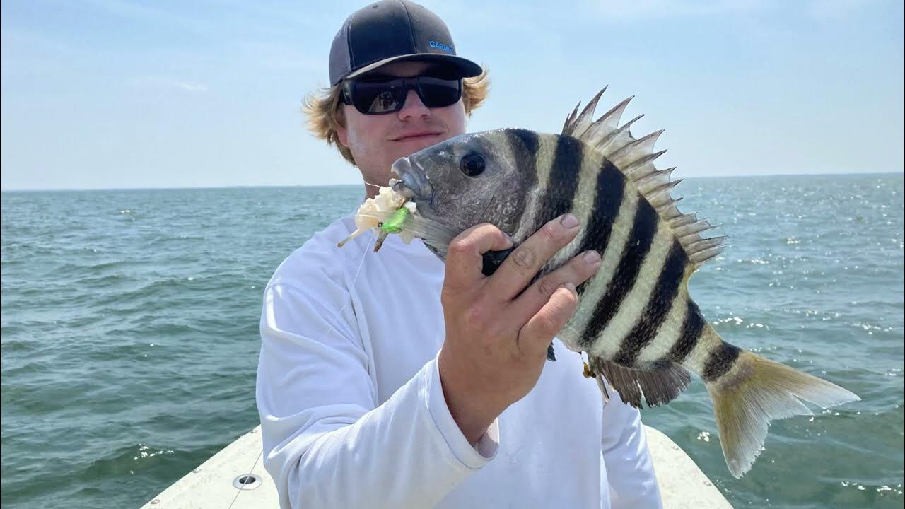 Sheepshead and Back to back Black Drum hookups! YouTube