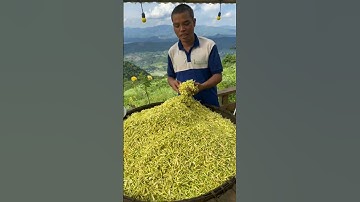 Sản Phẩm Cao Cấp Là Nụ Hoa Đu Đủ Lực #shorts #short #nuhoa #hoadudu #caydudu #trồngcây #subscribe