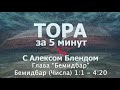 Тора за 5 минут с Алексом Блендом  Отрывок Бемидбар