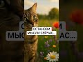 ОСТАНОВИ МЫСЛИ СЕЙЧАС 🌿 Музыка для сна и глубокого расслабления