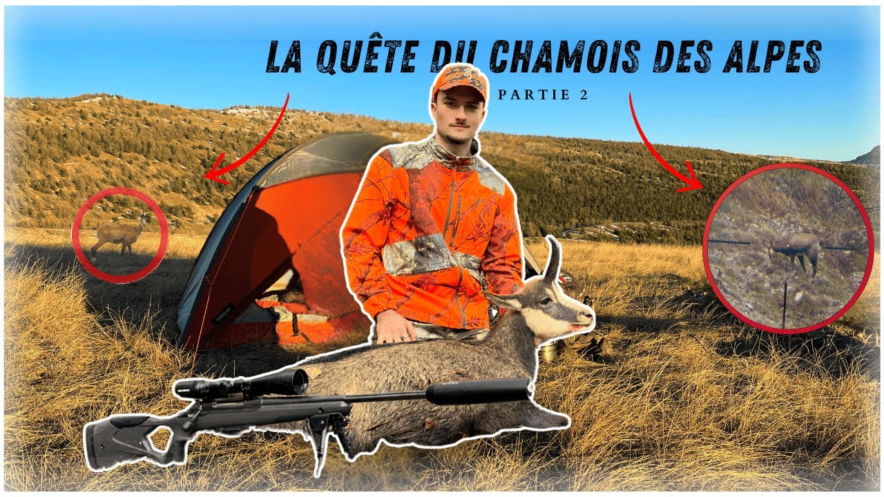 Ancien Livre De Chasse : La Chasse Au Chamois (édition Ancienne)