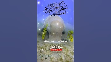 تلاوة خاشعة عطرة مباركة جميلة عذبة للشيخ ماهر المعيقلي ماتيسر من سورة الأعلى