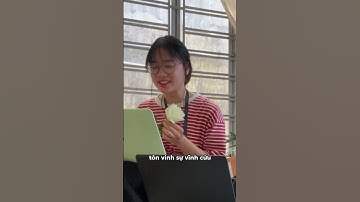 Ý nghĩa của loài hoa hồng trắng 🤓 - The Gem