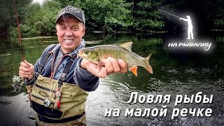 Ультралайтовая ловля на малой речке: НР#4