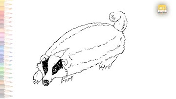 Badger drawing | How to draw A Badger step by step | Animal drawing tutorials | easy drawing videos