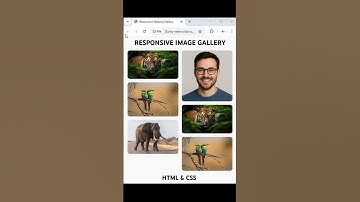 Design a Responsive Image Gallery Using Flexbox!