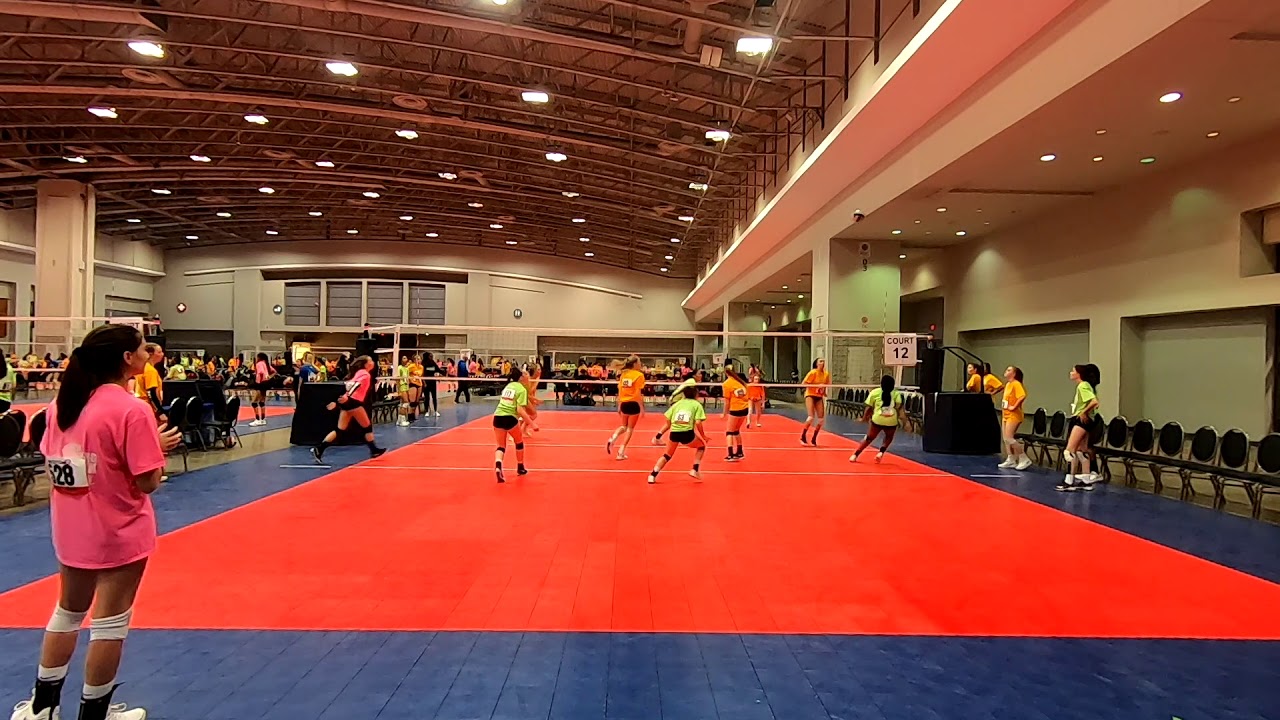 sports scholarships in australia for international students PrepVolleyball Session 3, Ct 12