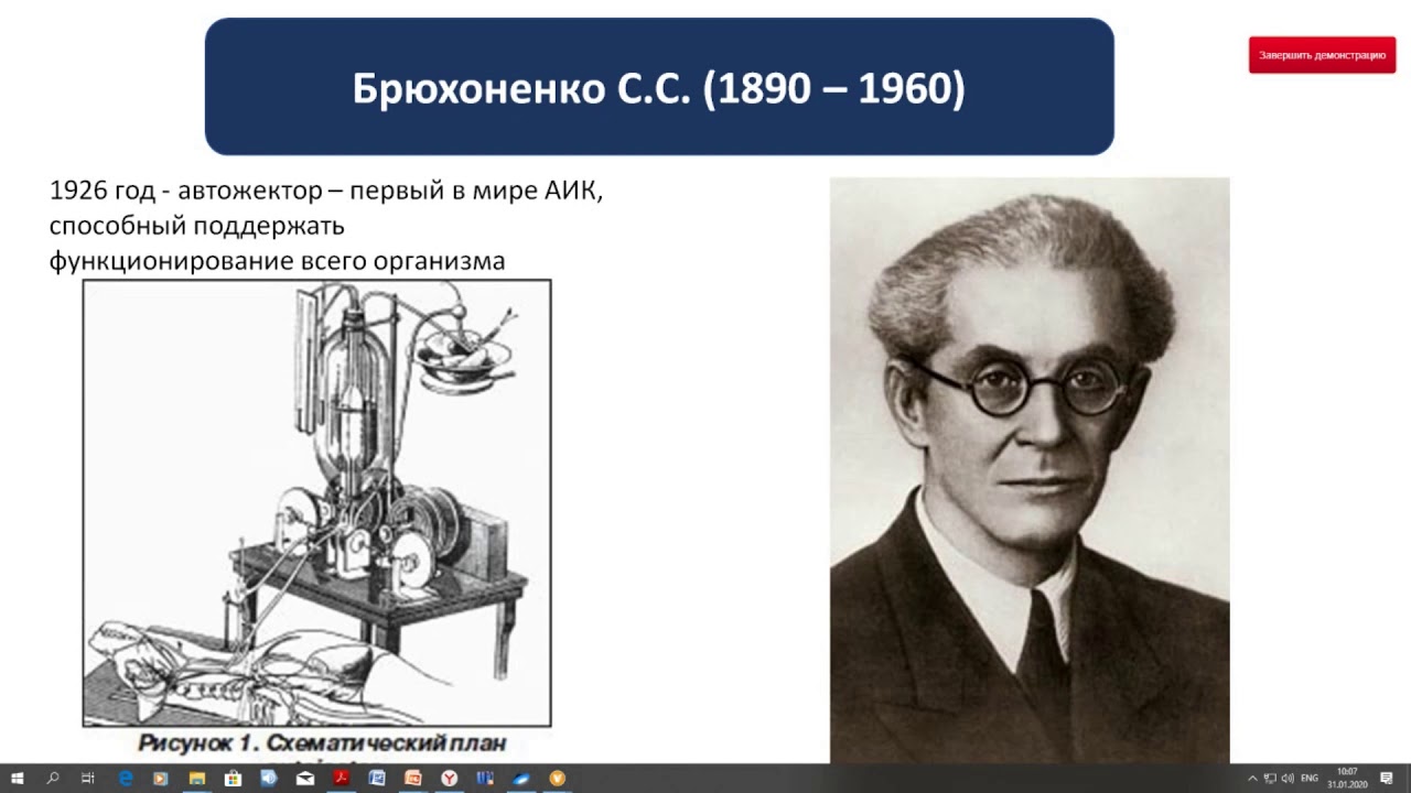 брюхоненко