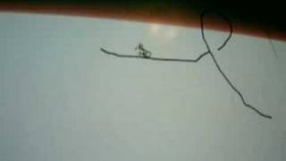 LineRider Perfect Loop-de-Loop