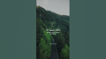 طارق محمد | من سورة ابراهيم