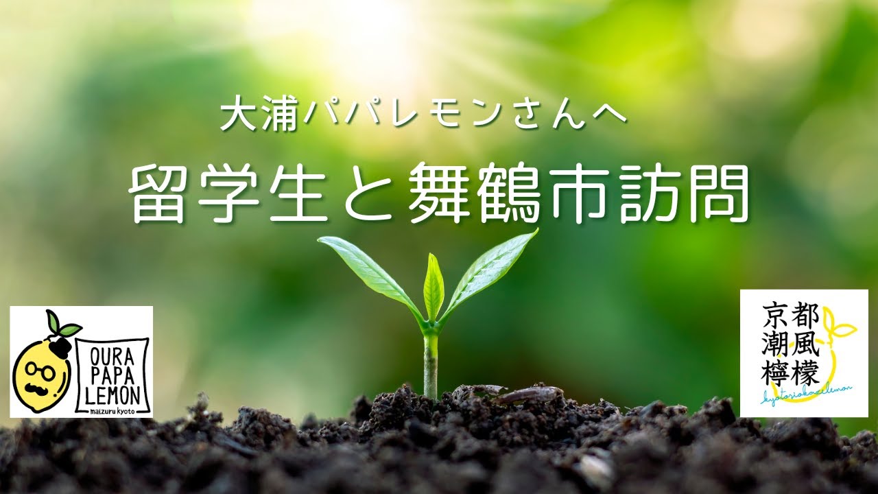 【京都府舞鶴市】留学生と一緒に大浦パパレモン（レモン農家）さんを訪問。海軍ゆかりの港めぐり遊覧船などを観光しました！