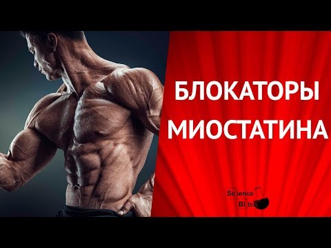 Видео: Как заблокировать миостатин: 11 шагов (с иллюстрациями)