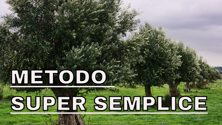 Potatura olivo, non so da dove cominciare...