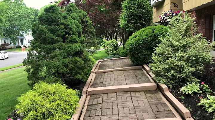 5 Fredrick Dr. Monroe, NY