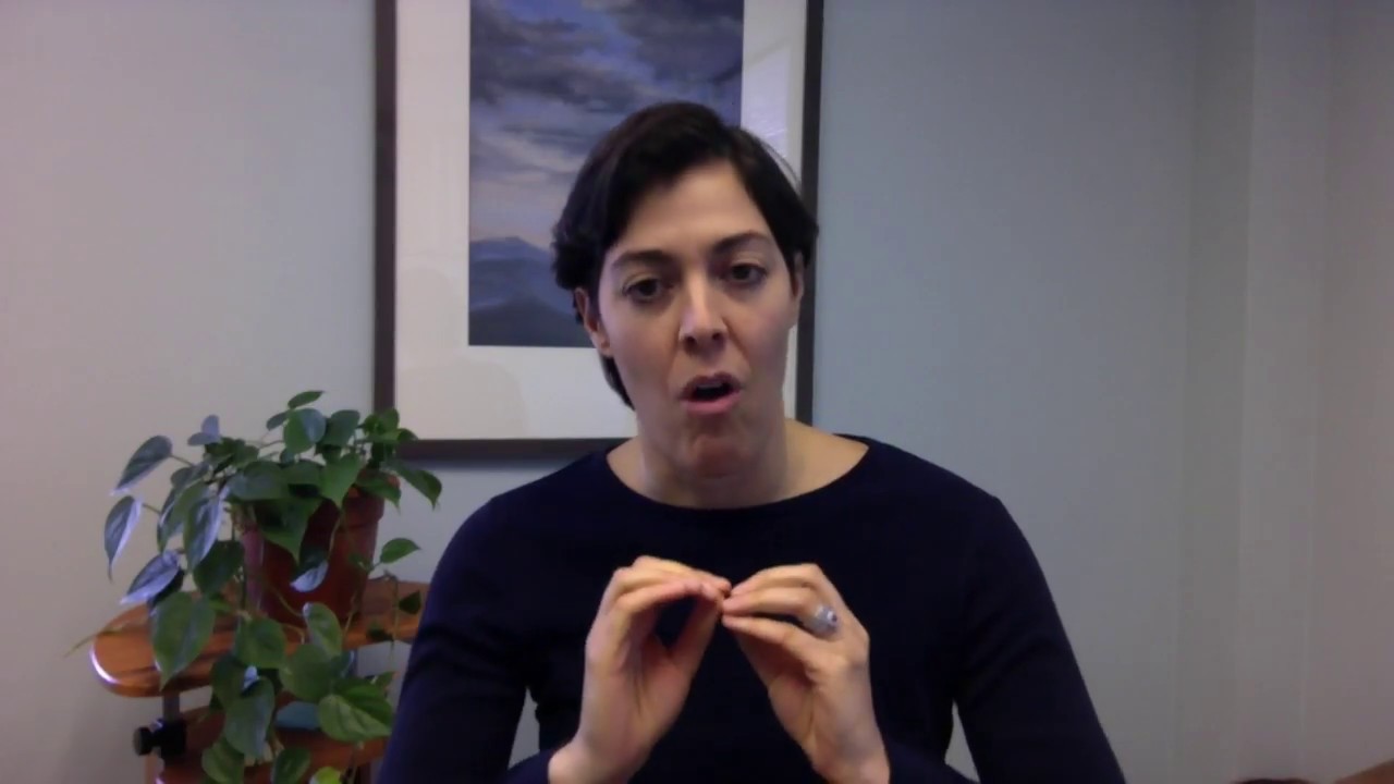 Manual Therapy Seminars The Early History of IMT YouTube